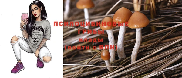 таблы Вяземский