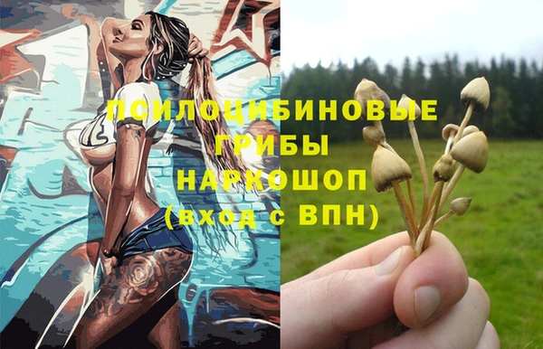 таблы Вяземский
